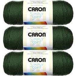 Caron Simply Soft Yarn Solids (3-Pack) Dark Sage H97003-9707