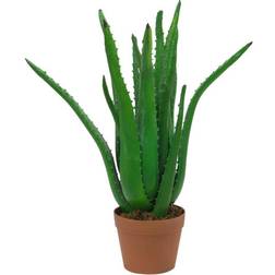 Europalms Aloe Vera Plant, artificial plant, 63cm, Aloe Kunstig plante