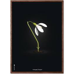 Brainchild Vintergæk 50x70 Plakat