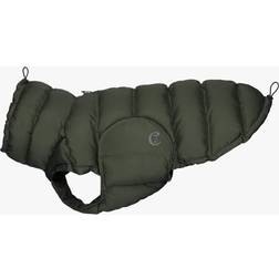 Cloud7 Alaska Olive Dog Coat 6