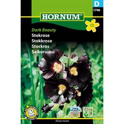 Hornum Stokrose Frø Dark Beauty