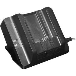 Worx Lader 40V