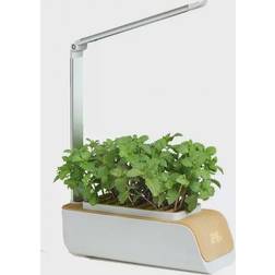 LEDlife hydroponisk krydderurtehave Krydderurtefrø