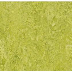 Forbo Linoleumgolv Marmoleum Decibel 322435 Chartreuse 33mx200cm