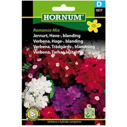 Hornum Jernurt frø, Romance Mix