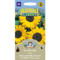 Mr Fothergills Seeds Ltd Sunflower 'Hello'