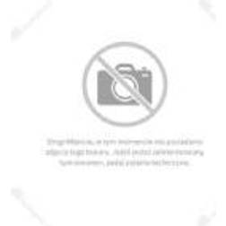NAC NAC Dust Container for SWP80 KCB25-F