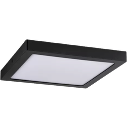 Paulmann Abia Takplafond 30cm