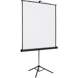 Projection screen with stand, 1:1 projection format, viewing area WxH 1470 x 1530 mm