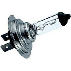 Strands H7 100W Lampa