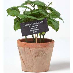 Homescapes Basil Artificial Plant