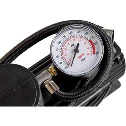 RawLink Luftpumpe 12V