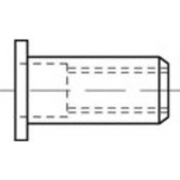 Toolcraft TO-5455152 Blindnittemøtrik M5 500