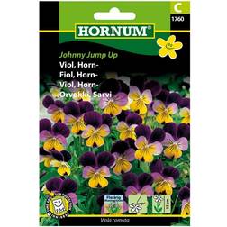 Hornum frø, Johnny Jump Up Blomsterfrø