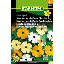 Hornum Susanne med det sorte frø