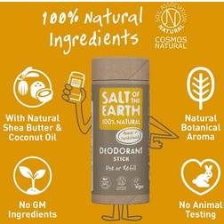 Salt of the Earth Natural Deodorant Stick Amber