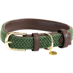 Kentucky Collier Pour Chien En Nylon Plaqué - Vert