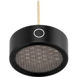 Warm Audio WA-84 Omni Kapsel Svart