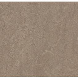 Forbo Linoleumgolv Marmoleum Decibel 324635 Shrike 33mx200cm