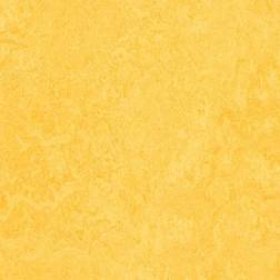 Forbo Linoleumgolv Marmoleum Fresco 2mm 3251 Lemon Zest 33mx200cm