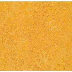 Forbo Linoleumgolv Marmoleum Decibel 322535 Dandelion 33mx200cm