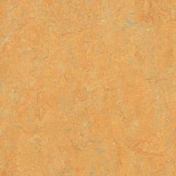 Forbo Linoleumgolv Marmoleum Real 2mm 3847 Golden Saffron 33mx200cm