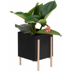 Design House Stockholm Botanic pot flower pot