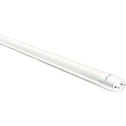 Century LED-Lamp G13 18 W 1930 lm 6500 K