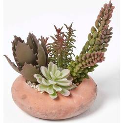 Homescapes Artificial Succulent Arrangement Pot, 15cm Tall Artificial Plant