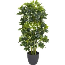 Real Schefflera Umbrella Konstgjord växt