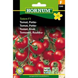 Hornum Tomat, Potte-, Totem F1 Krukke