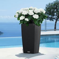 Lechuza Odlingsenhet CUBICO Cottage 40 All-In-One