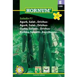 Hornum Gurka 'Saladin' F1 Grøntsagsfrø