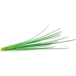 Click and Grow Smart Garden Refill 3-pack Krukke