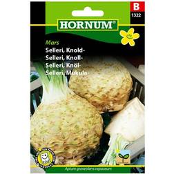 Hornum Knoldselleri frø Grøntsagsfrø