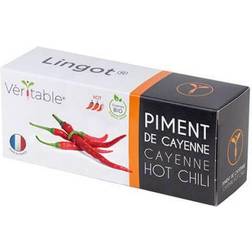 Veritable Cayenne Hot Chili Lingot