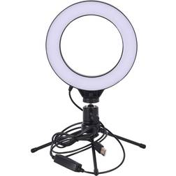 Record LED-14 bord video-lys