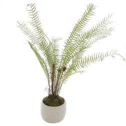 Hill Interiors White Potted Boston Fern