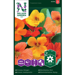 Nelson Garden Blomsterkarse, Slyng-, mix, Big Pack