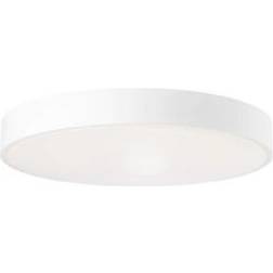 Brilliant Slimline Ceiling Flush Light 49cm