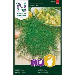 Nelson Garden Dill Bouquet Krydderurtefrø