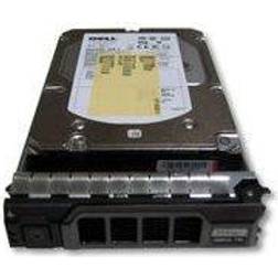 MicroStorage 300GB 3.5 SAS 300GB SAS internal hard drive