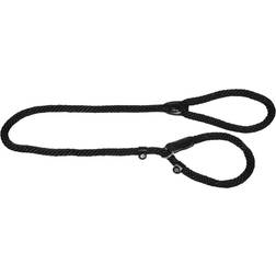 Jack and Vanilla and Vanilla Dog Slip Leash Walkabout