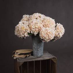 Hill Interiors Autumn White Hydrangea