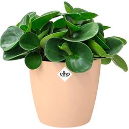 Elho Flower Pot Brussels Round Planter Plant