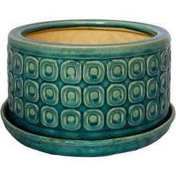 Ivyline Bonsai Planter Teal