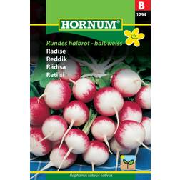 Hornum Radise, Rundes halbrot-halbweiss 1294