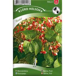 Nelson Garden Pralbønne 'Hestia' Blomsterfrø