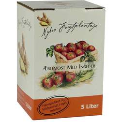 Nybro Frugtplantage Nybro Frugtplantage, Æblemost med ingefær 5 l.