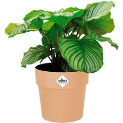 Elho Plant Pot Flower Pot Choice